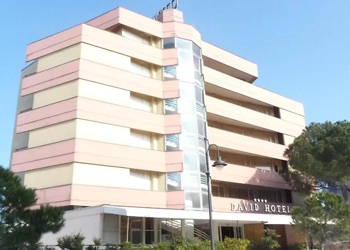 Hotel David