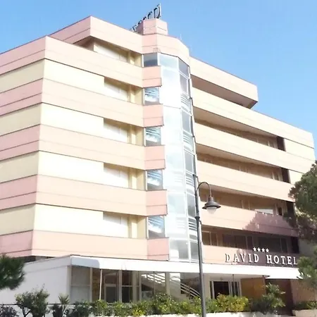 מלון David
